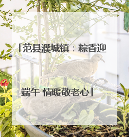 范县濮城镇：粽香迎端午 情暖敬老心