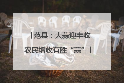 范县：大蒜迎丰收 农民增收有胜“蒜”