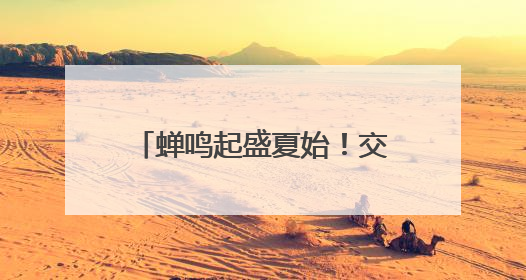 蝉鸣起盛夏始！交运温馨校车开展节气主题流动课堂活动