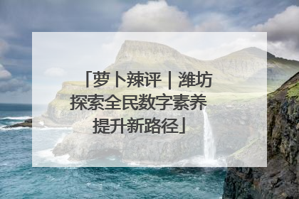 萝卜辣评｜潍坊探索全民数字素养提升新路径