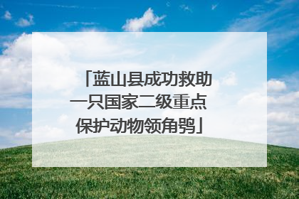 蓝山县成功救助一只国家二级重点保护动物领角鸮