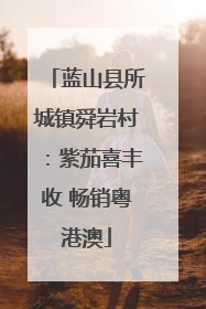 蓝山县所城镇舜岩村：紫茄喜丰收 畅销粤港澳