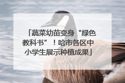 蔬菜幼苗变身“绿色教科书”！哈市各区中小学生展示种植成果
