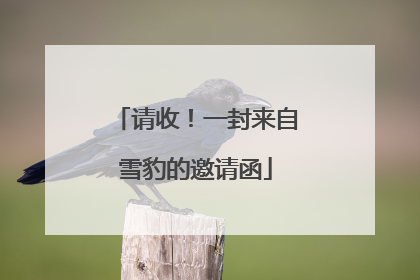 请收！一封来自雪豹的邀请函