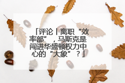 评论丨离职“效率部”，马斯克是闯进华盛顿权力中心的“大象”？