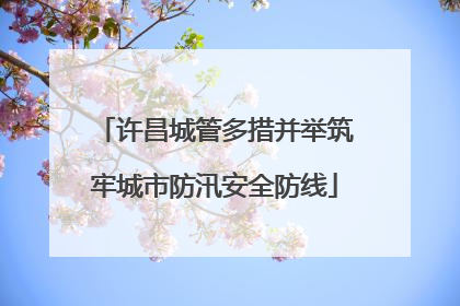 许昌城管多措并举筑牢城市防汛安全防线