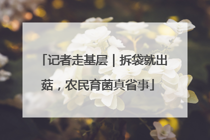 记者走基层｜拆袋就出菇，农民育菌真省事