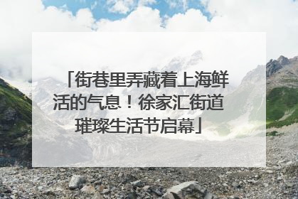 街巷里弄藏着上海鲜活的气息！徐家汇街道璀璨生活节启幕