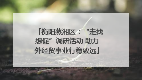 衡阳蒸湘区：“走找想促”调研活动 助力外经贸事业行稳致远