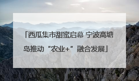 西瓜集市甜蜜启幕 宁波高塘岛推动“农业+”融合发展