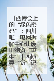 西博会上的“绿色密码”：四川唯一电网拆解中心让废旧物资“重生”｜西博寻“新”记