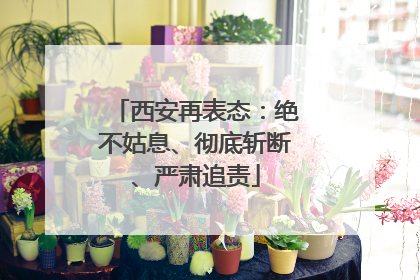 西安再表态：绝不姑息、彻底斩断、严肃追责