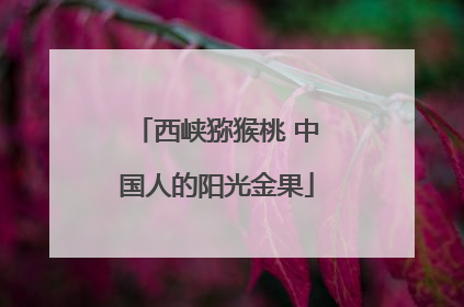 西峡猕猴桃 中国人的阳光金果