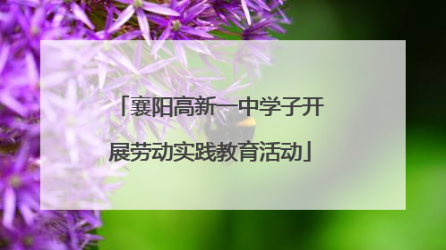 襄阳高新一中学子开展劳动实践教育活动