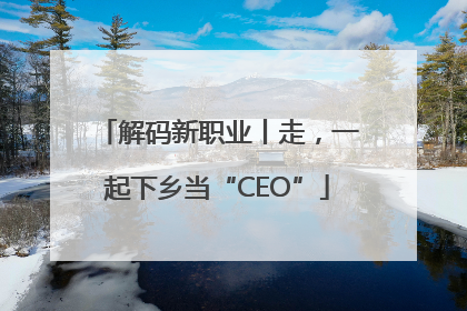 解码新职业丨走，一起下乡当“CEO”