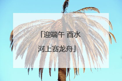 迎端午 酉水河上赛龙舟