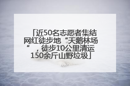 近50名志愿者集结网红徒步地“天鹅林场”，徒步10公里清运150余斤山野垃圾