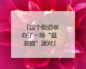 这个街道举办了一场“盆友圈”派对