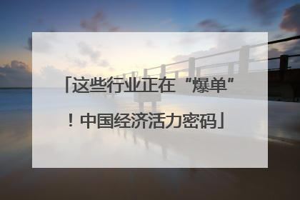 这些行业正在“爆单”！中国经济活力密码