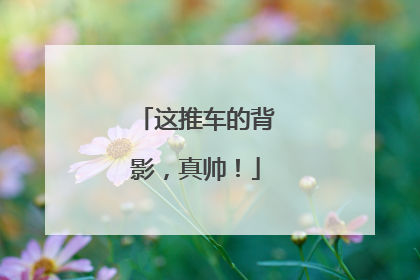 这推车的背影，真帅！