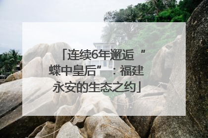 连续6年邂逅“蝶中皇后”：福建永安的生态之约