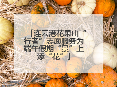 连云港花果山“行者”志愿服务为端午假期“景”上添“花”
