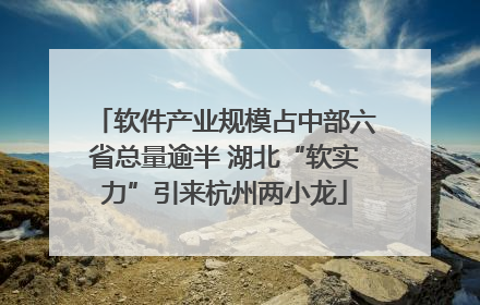 软件产业规模占中部六省总量逾半 湖北“软实力”引来杭州两小龙