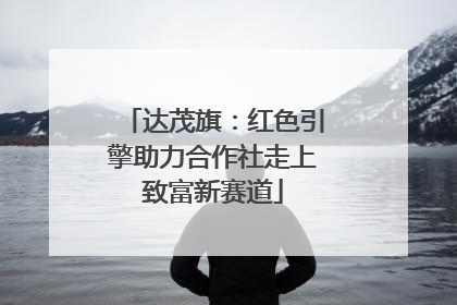 达茂旗：红色引擎助力合作社走上致富新赛道