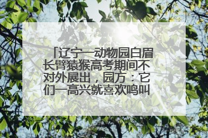 辽宁一动物园白眉长臂猿猴高考期间不对外展出，园方：它们一高兴就喜欢鸣叫，怕影响考试