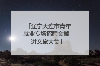 辽宁大连市青年就业专场招聘会搬进文旅大集