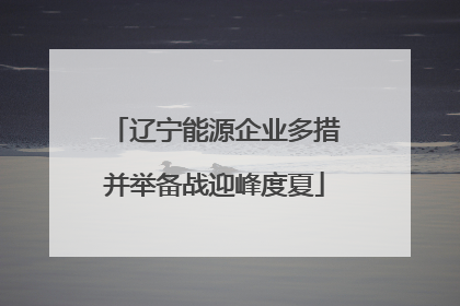 辽宁能源企业多措并举备战迎峰度夏