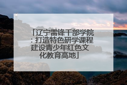 辽宁雷锋干部学院：打造特色研学课程 建设青少年红色文化教育高地