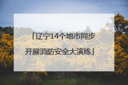 辽宁14个地市同步开展消防安全大演练