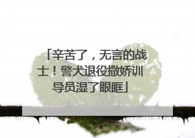 辛苦了，无言的战士！警犬退役撒娇训导员湿了眼眶