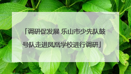 调研促发展 乐山市少先队鼓号队走进凤凰学校进行调研
