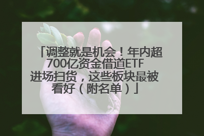 调整就是机会！年内超700亿资金借道ETF进场扫货，这些板块最被看好（附名单）