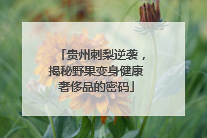 贵州刺梨逆袭，揭秘野果变身健康奢侈品的密码