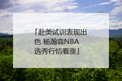 赴美试训表现出色 杨瀚森NBA选秀行情看涨