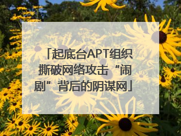 起底台APT组织 撕破网络攻击“闹剧”背后的阴谋网