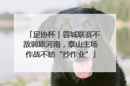 足协杯｜蓉城联赛不敌弱旅河南，泰山主场作战不妨“抄作业”