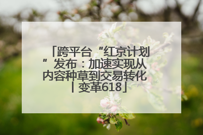 跨平台“红京计划”发布：加速实现从内容种草到交易转化丨变革618
