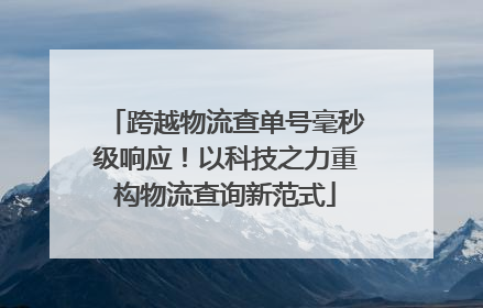 跨越物流查单号毫秒级响应！以科技之力重构物流查询新范式