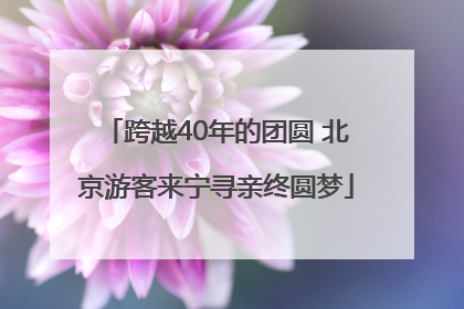 跨越40年的团圆 北京游客来宁寻亲终圆梦