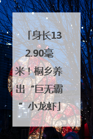 身长132.90毫米！桐乡养出“巨无霸”小龙虾