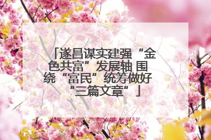 遂昌谋实建强“金色共富”发展轴 围绕“富民”统筹做好“三篇文章”