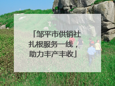 邹平市供销社扎根服务一线，助力丰产丰收