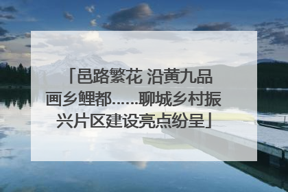 邑路繁花 沿黄九品 画乡鲤都……聊城乡村振兴片区建设亮点纷呈