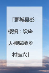 鄄城县彭楼镇：设施大棚赋能乡村振兴
