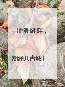 鄱阳湖畔，潮涌共青城