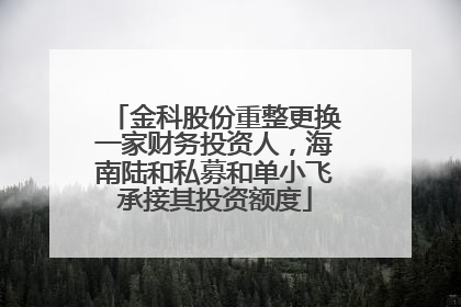 金科股份重整更换一家财务投资人，海南陆和私募和单小飞承接其投资额度